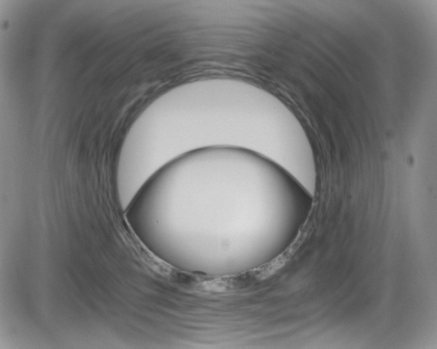 X0000084530423200702230843