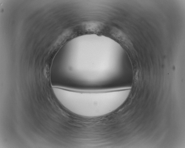 X0000084530424200702230843