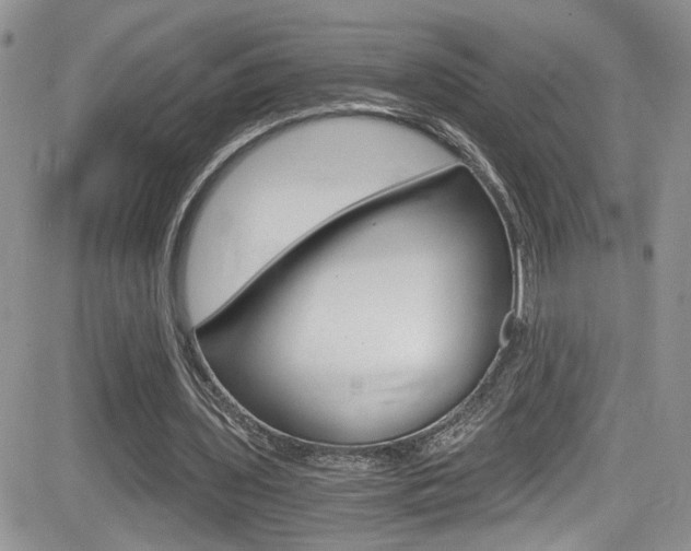X0000084530435200702230842