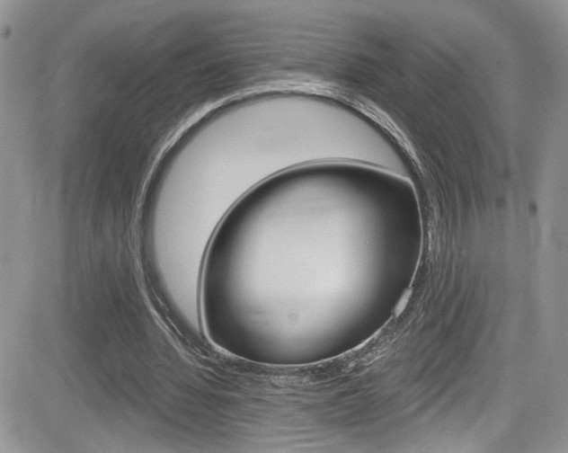 X0000084530436200702230842