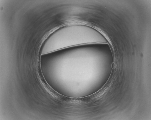 X0000084530437200702230842