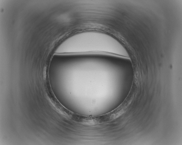 X0000084530454200702230842