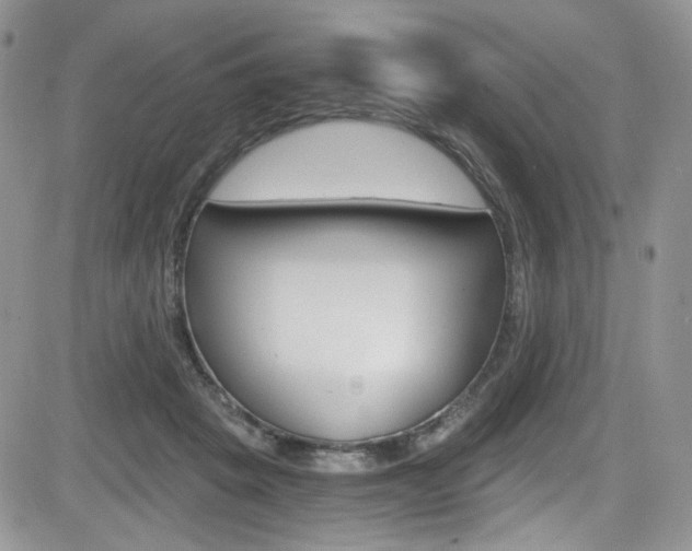 X0000084530457200702230843