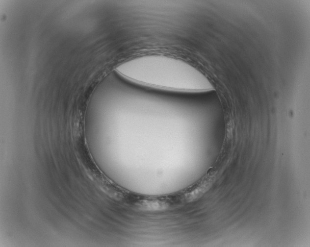X0000084530464200702230843
