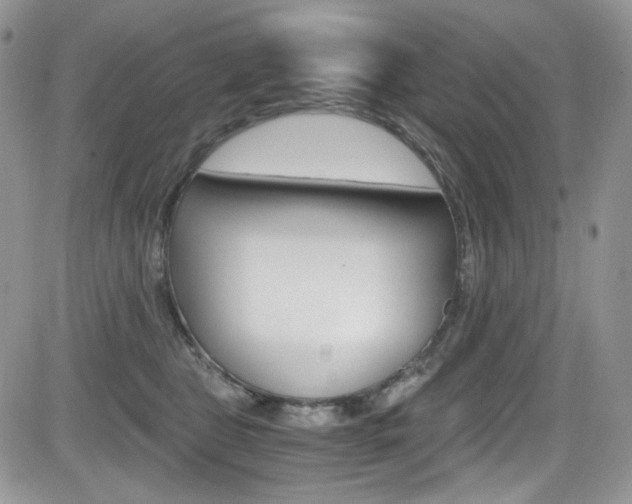 X0000084530469200702230843