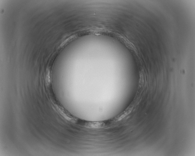 X0000084530479200702230843