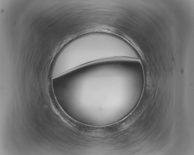 X0000084530485200702230842