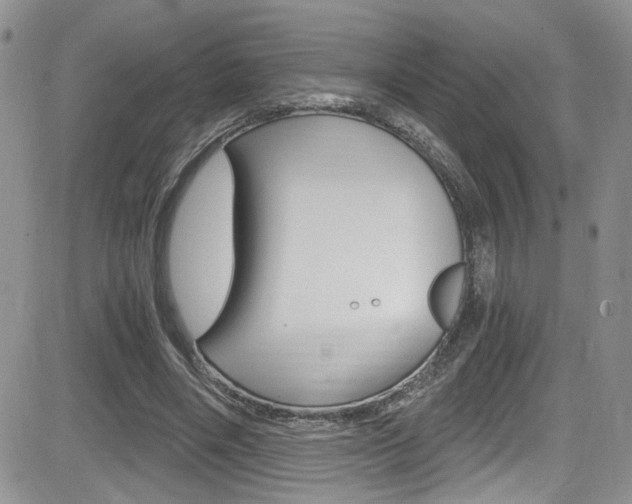 X0000084530490200702230842