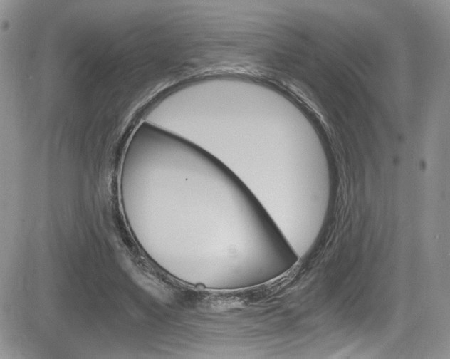 X0000084530491200702230842