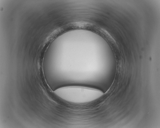 X0000084530500200702230842
