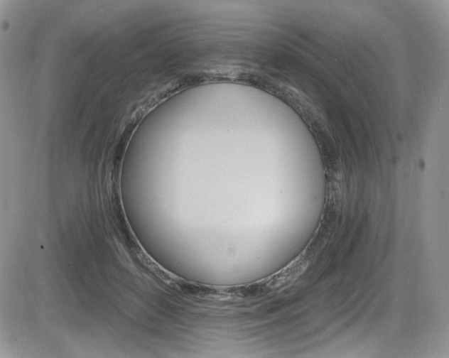 X0000084530504200702230842