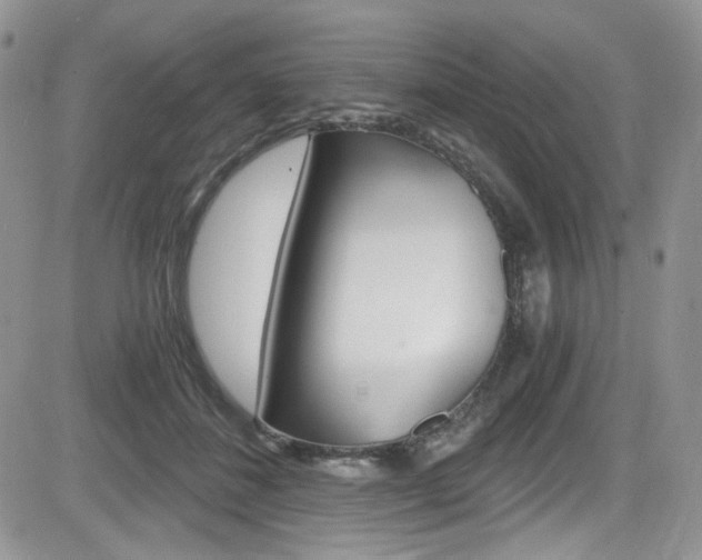 X0000084530508200702230842