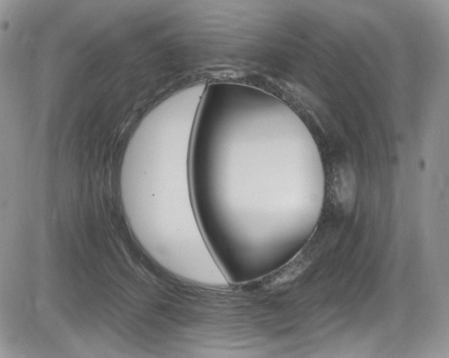X0000084530512200702230842