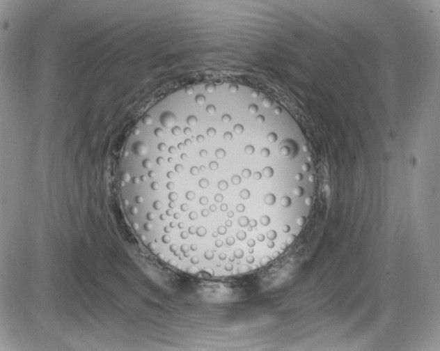 X0000084530519200702230841