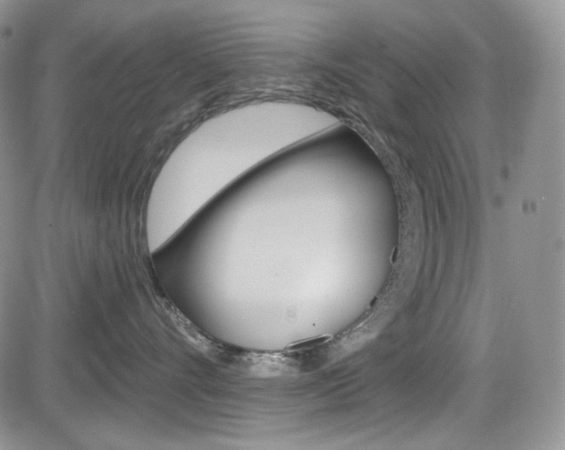 X0000084530528200702230841