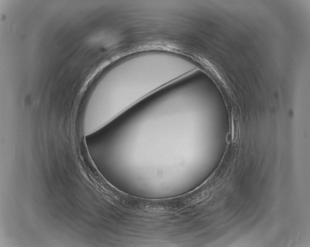 X0000084530531200702230841