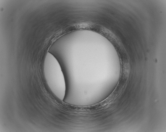 X0000084530545200702230841