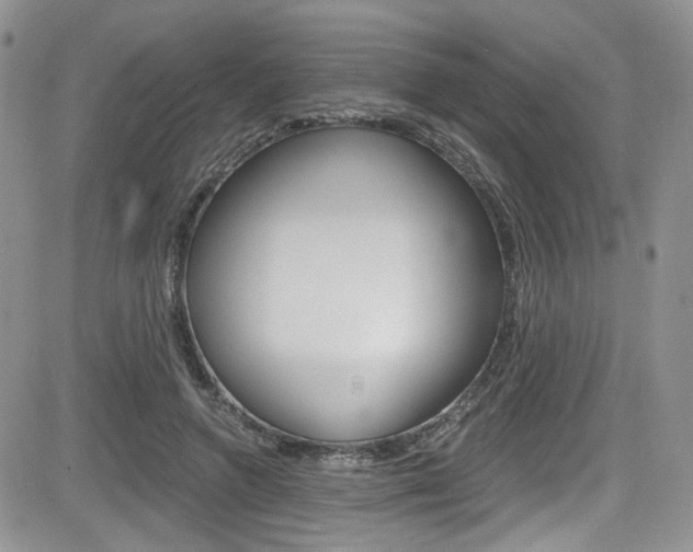 X0000084530546200702230841