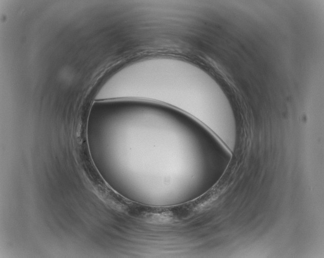 X0000084530548200702230841