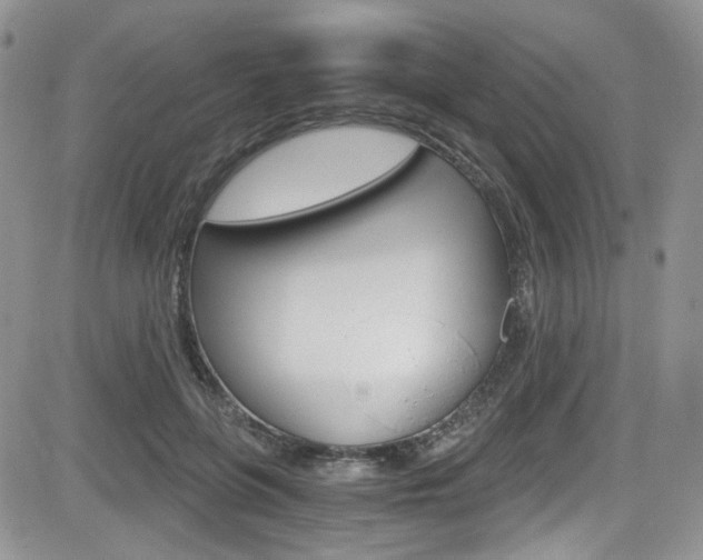 X0000084530551200702230841