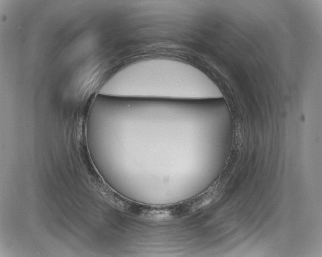 X0000084530554200702230841