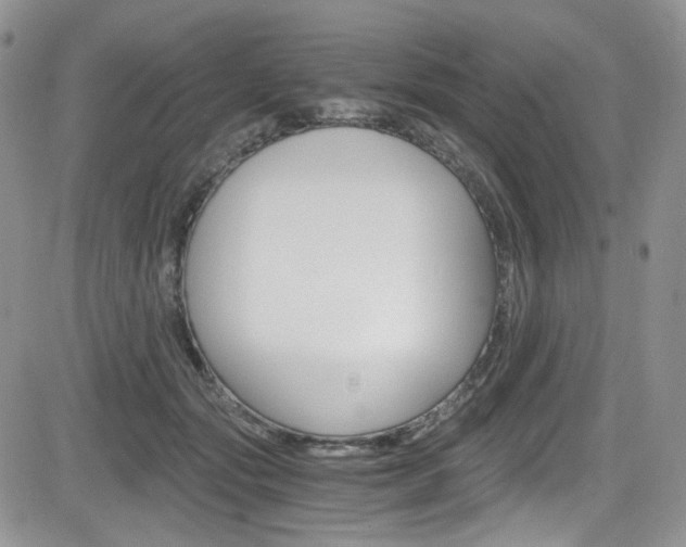 X0000084530557200702230841