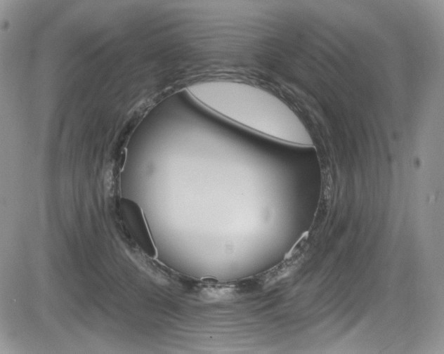 X0000084530560200702230841