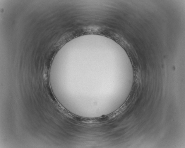 X0000084530561200702230841
