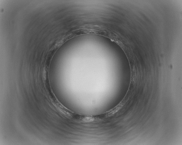 X0000084530562200702230841