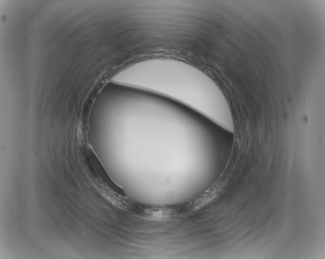 X0000084530564200702230841