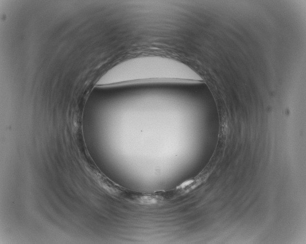 X0000084530566200702230841