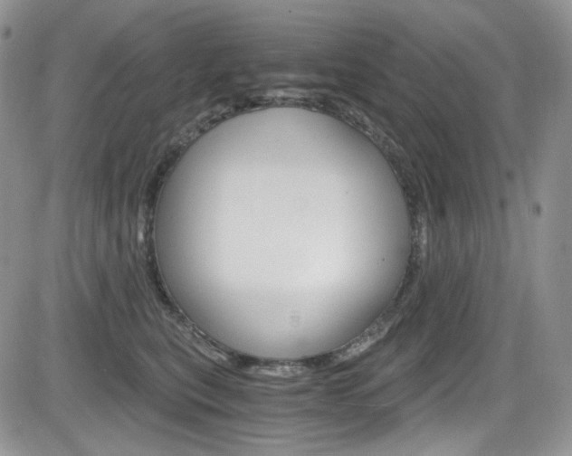 X0000084530567200702230841