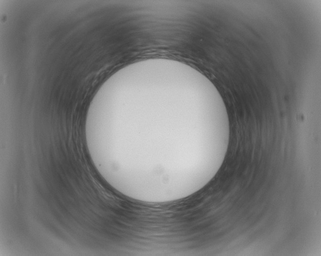 X0000084530570200702230841