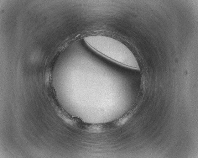 X0000084530574200702230841