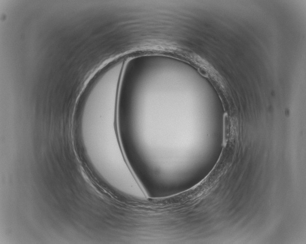 X0000084530580200702230840