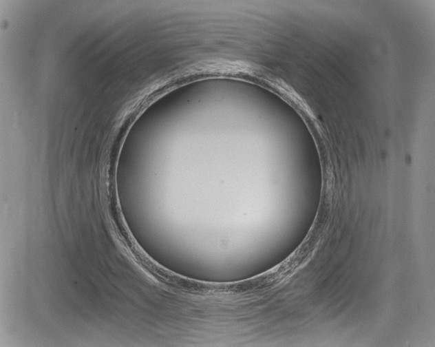 X0000084530581200702230840