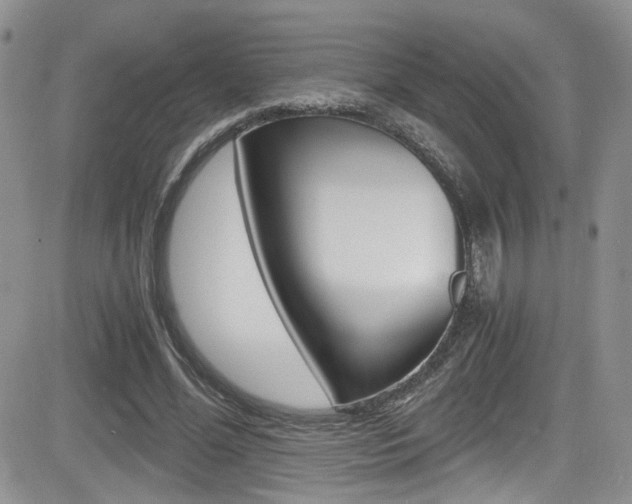 X0000084530588200702230840