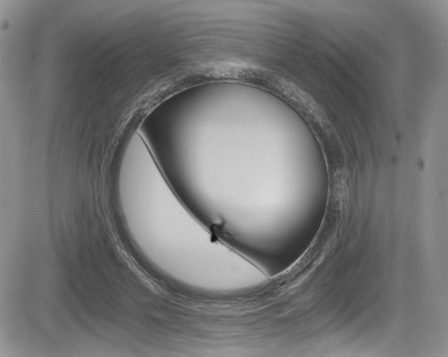 X0000084530589200702230840