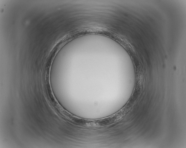 X0000084530591200702230840
