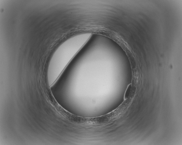 X0000084530593200702230840