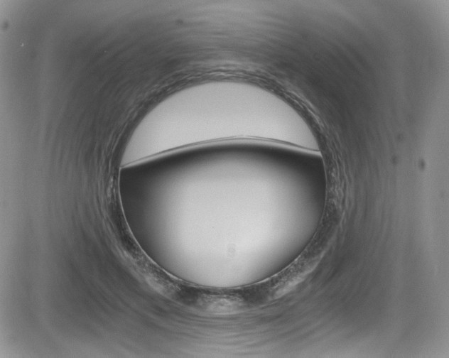 X0000084530597200702230840