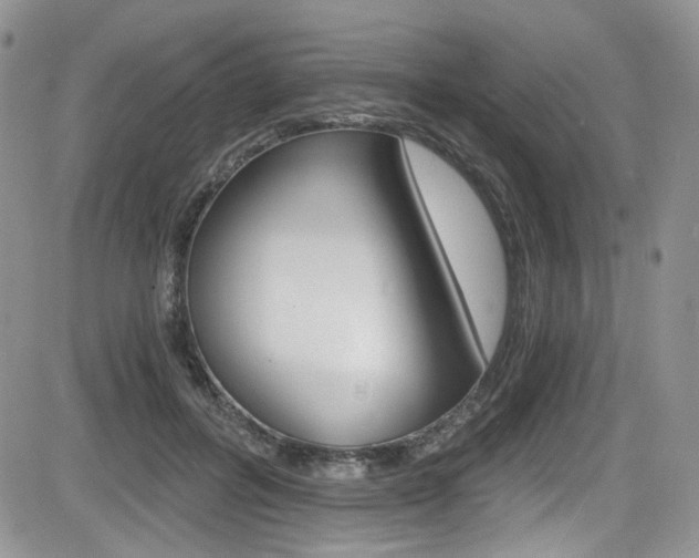 X0000084530600200702230840