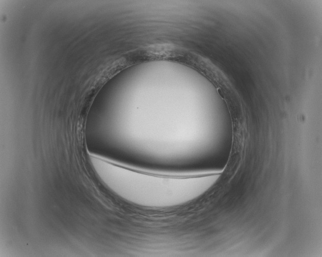 X0000084530601200702230840