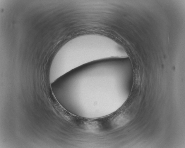 X0000084530603200702230840