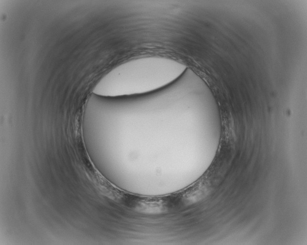 X0000084530606200702230840