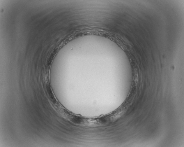 X0000084530607200702230840