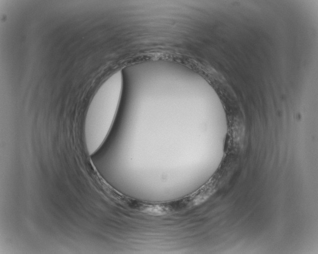 X0000084530611200702230840