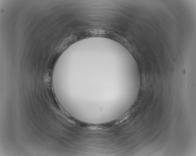 X0000084530614200702230840