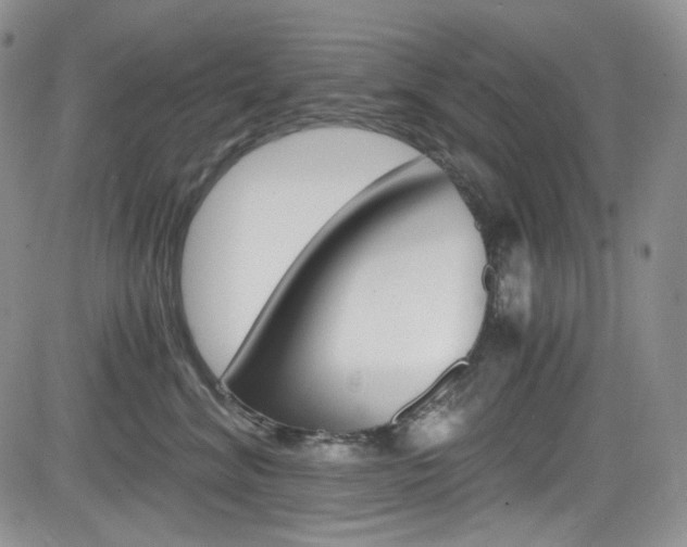 X0000084530620200702230840