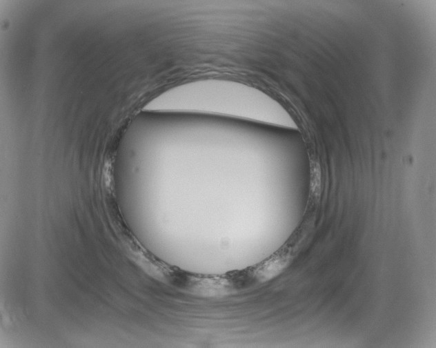 X0000084530621200702230840